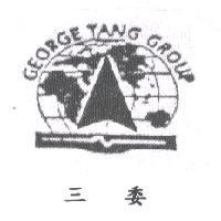 GEORGE TANG GROUP 三委及圖