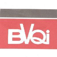 BVQI 設計圖