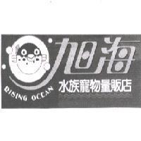 旭海水族寵物量販店 RISING OCEAN 及圖