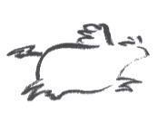 飛牛設計圖