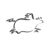 飛牛設計圖