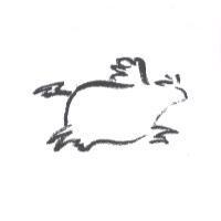 飛牛設計圖