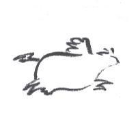 飛牛設計圖