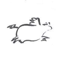 飛牛設計圖