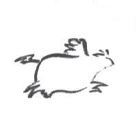 飛牛設計圖