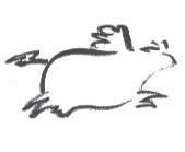 飛牛設計圖