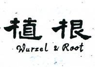 植根 WURZEL ROOT 