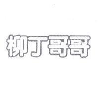 柳丁哥哥