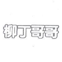 柳丁哥哥