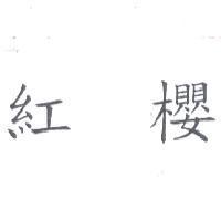 紅櫻