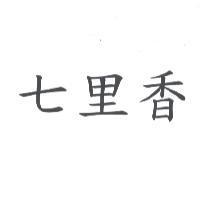 七里香