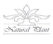 NATURAL PLANT 之設計圖