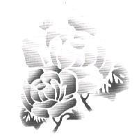 花圖