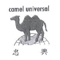 camel universal 忠興及圖