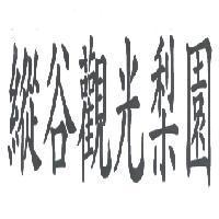 縱谷觀光梨園