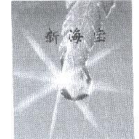 新海寶及圖