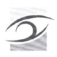 眼睛設計圖
