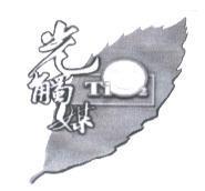 光觸媒 TiO2 葉片設計圖