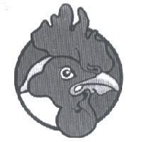 雞設計圖