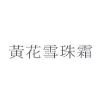 黃花雪珠霜