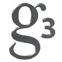 G3 Logo