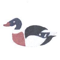 鴨子圖
