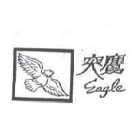 突鷹 Eagle 及圖