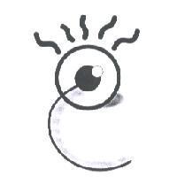 眼睛設計圖