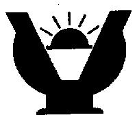 Y 形圖
