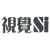 視覺 Si