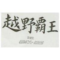 越野霸王 BMX GMX-125