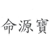 命源寶