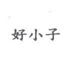 好小子
