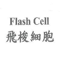 飛梭細胞 Flash Cell