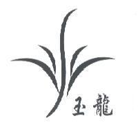 玉龍及圖