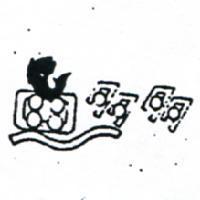 魚多多及圖