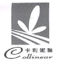 卡利妮雅 COLLINEAR 及圖