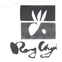 RONG CHYI 及圖