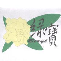 綠寶 Beryl 及圖