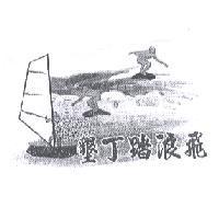 墾丁踏浪飛及圖