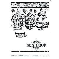 蜜菓子及圖 SUN DROP 