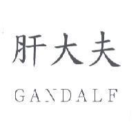 肝大夫 GANDALF