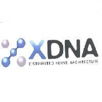 XDNA DISTRIBUTED NERVE ARCHITECTURE 及 X 設計圖