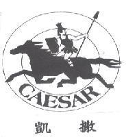 凱撒 CAESAR 及圖