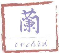 蘭格格 orchid 及圖樣