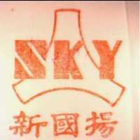 新國揚 SKY 