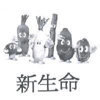 新生命及圖