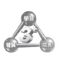 Golden Triangle Design 學習 體質 成長 3+