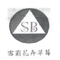 雪霸花卉草莓之設計圖
