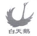 白天鵝及圖